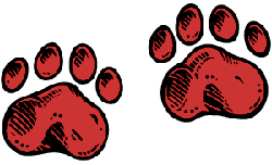 You like Red Dog?