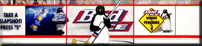 Click Here To Download A Kewl Bud Ice Penguin Screen Saver!
